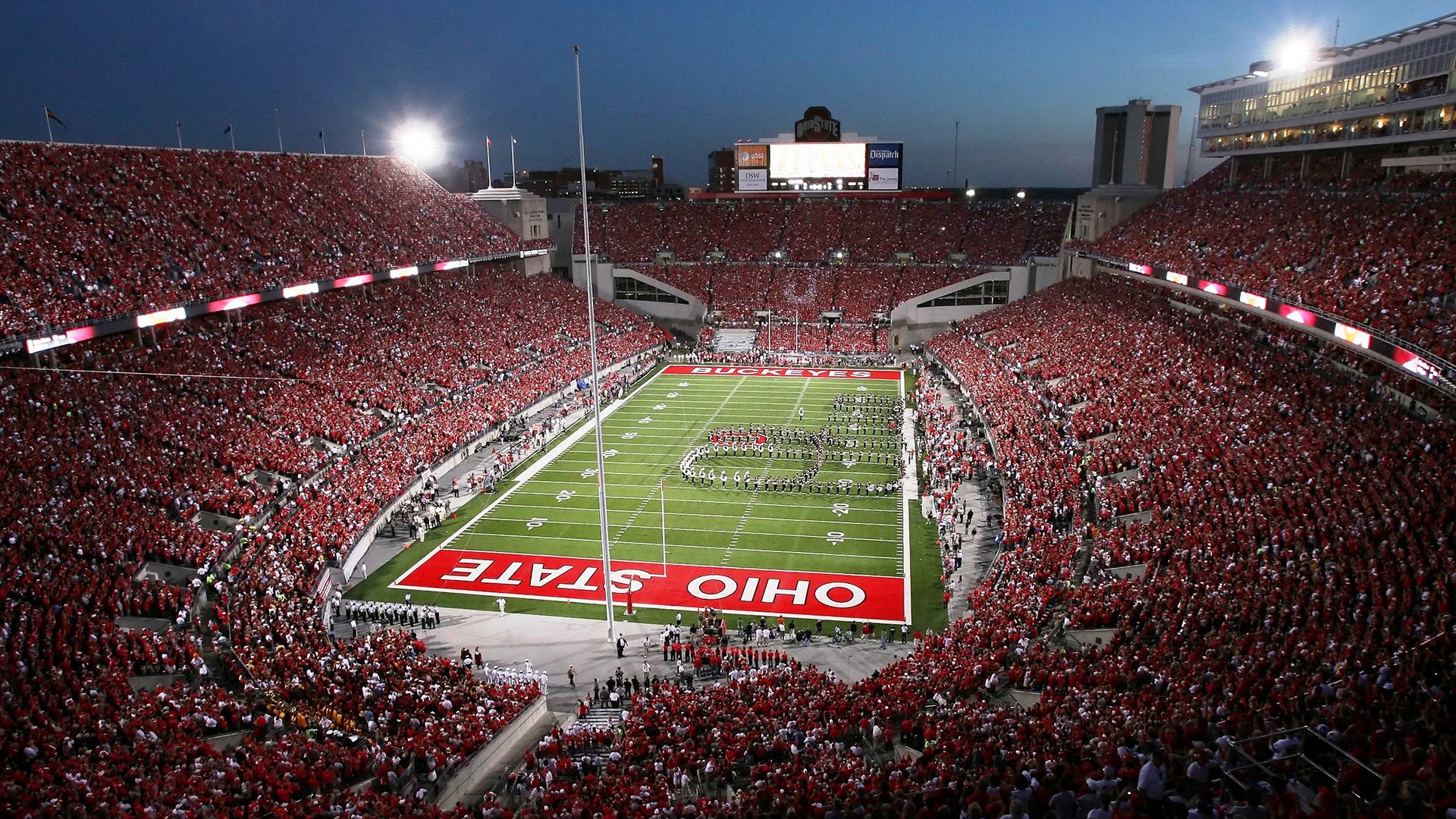 “马丁·高尔西：阿根廷美洲狮队的盯防专家”